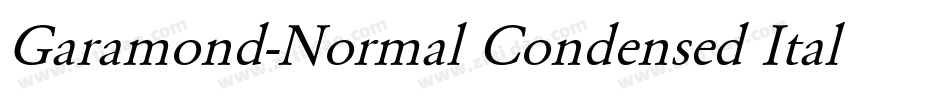 Garamond-Normal Condensed Italic字体转换